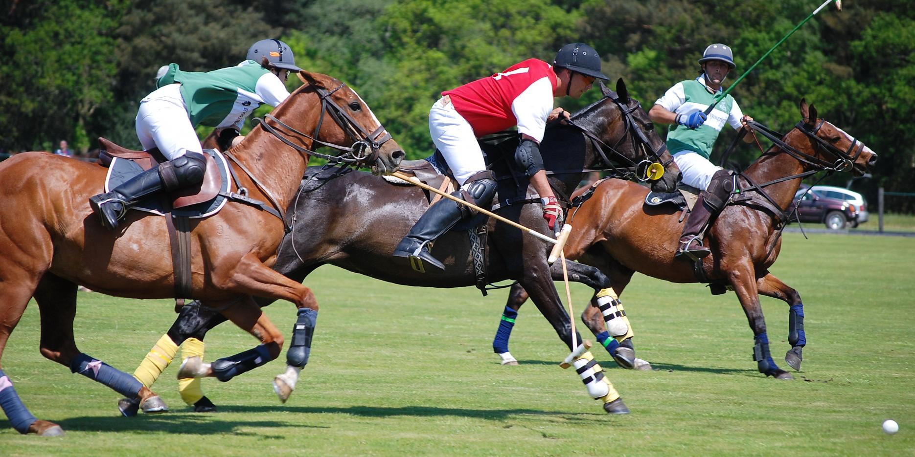Hospitality Action to host Charity Polo Day in Cheshire