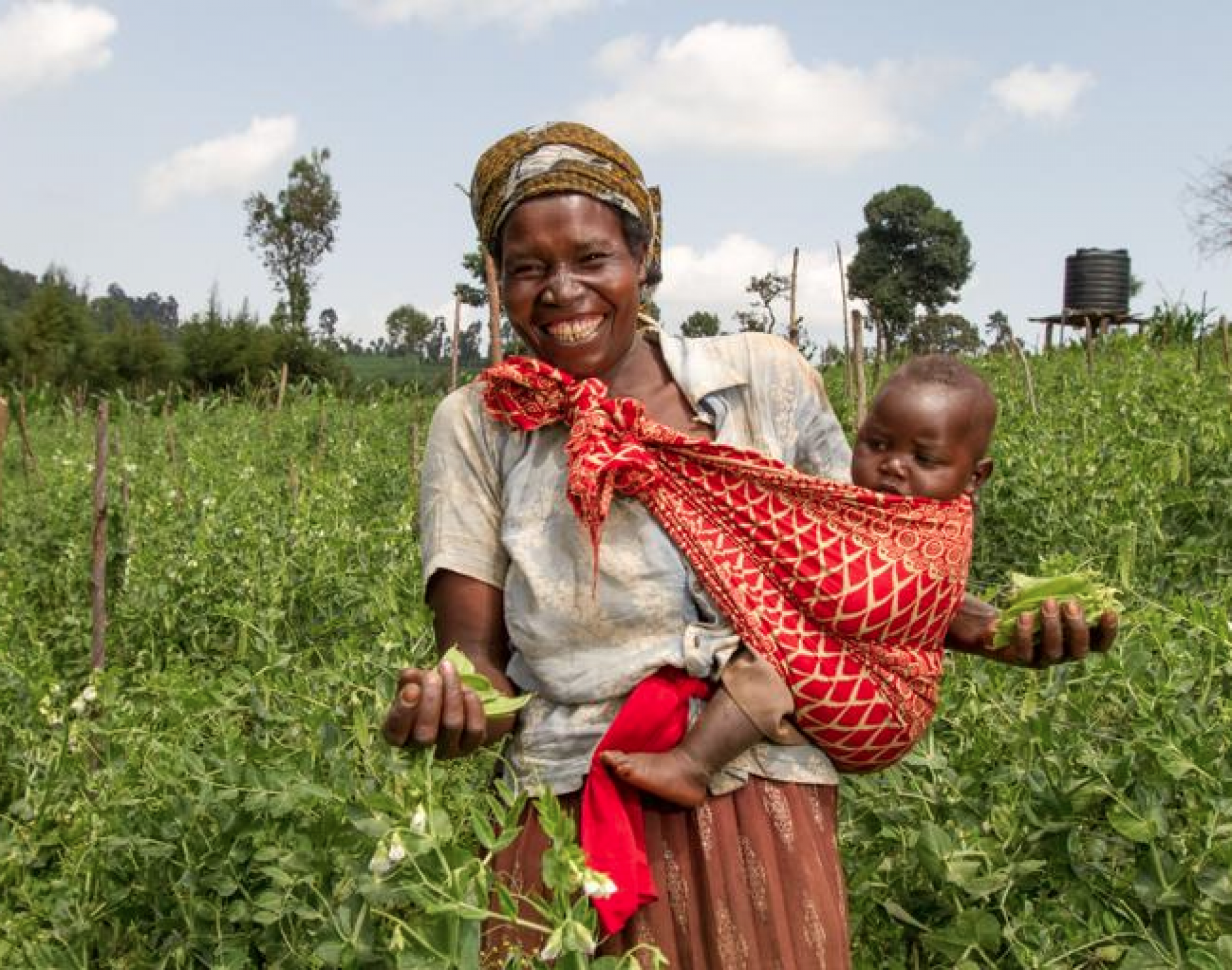 Farm Africa is running the events this autumn Sporty or brainy, Farm Africa needs you
