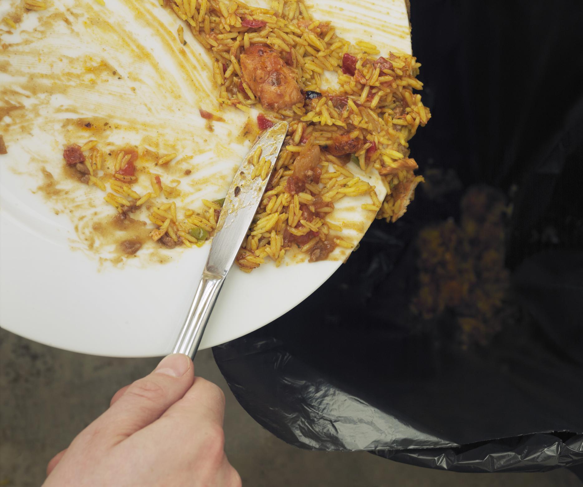 More than half of food is uneaten because portion sizes are too big