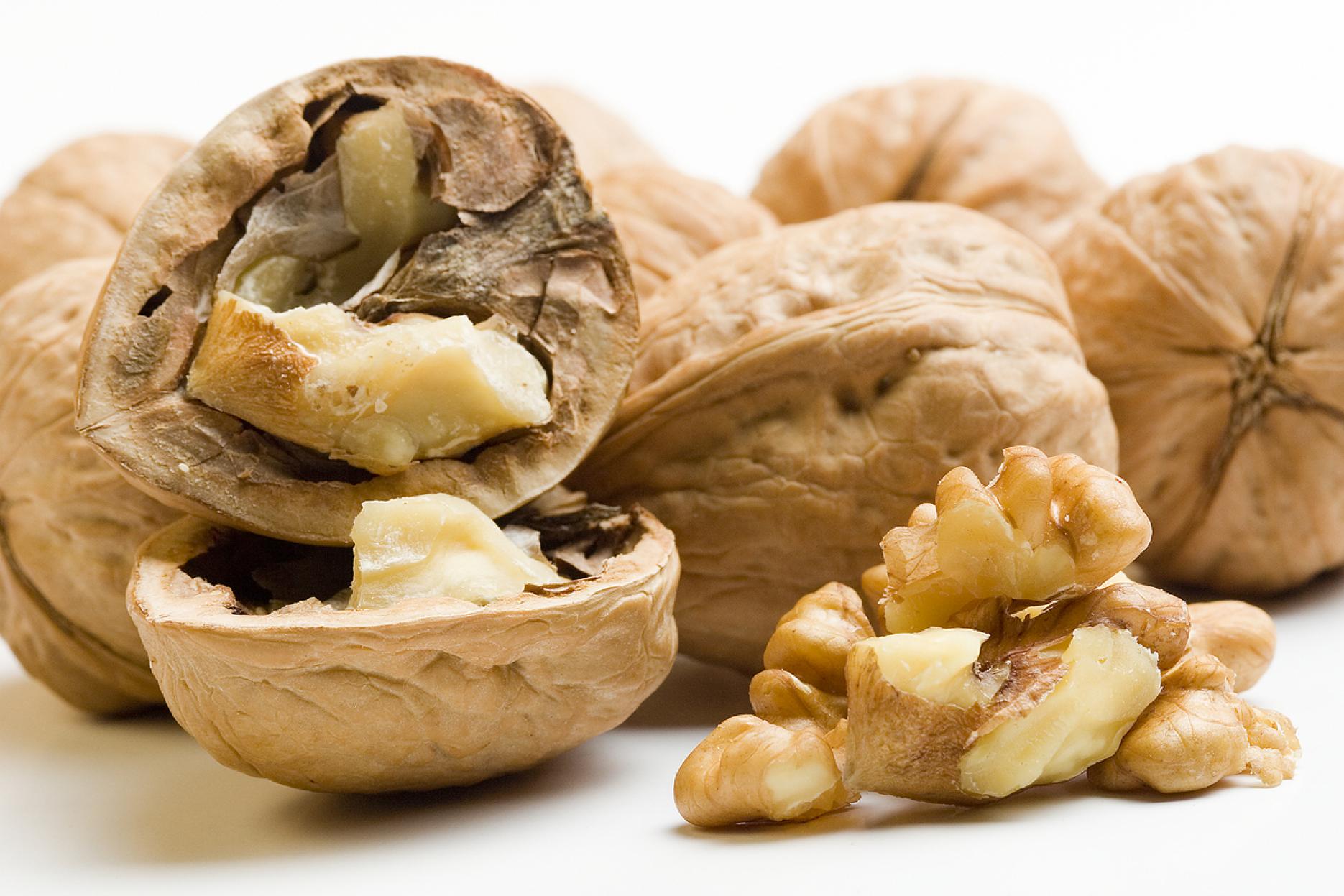 Foodservice workshops on allergy awareness announced