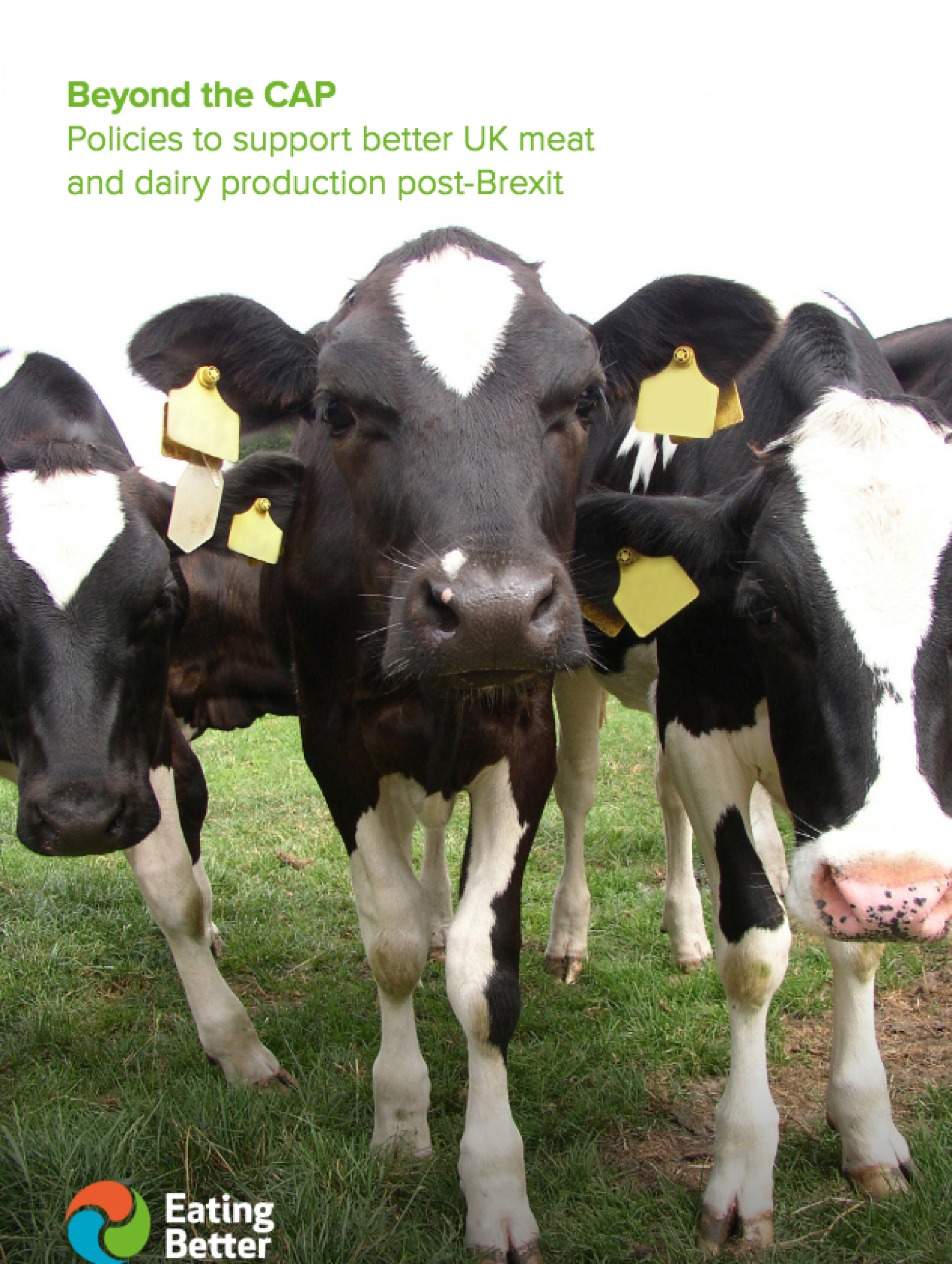 WWF, Friends of the Earth and the European Public Health Alliance were amongst those who worked on the report
