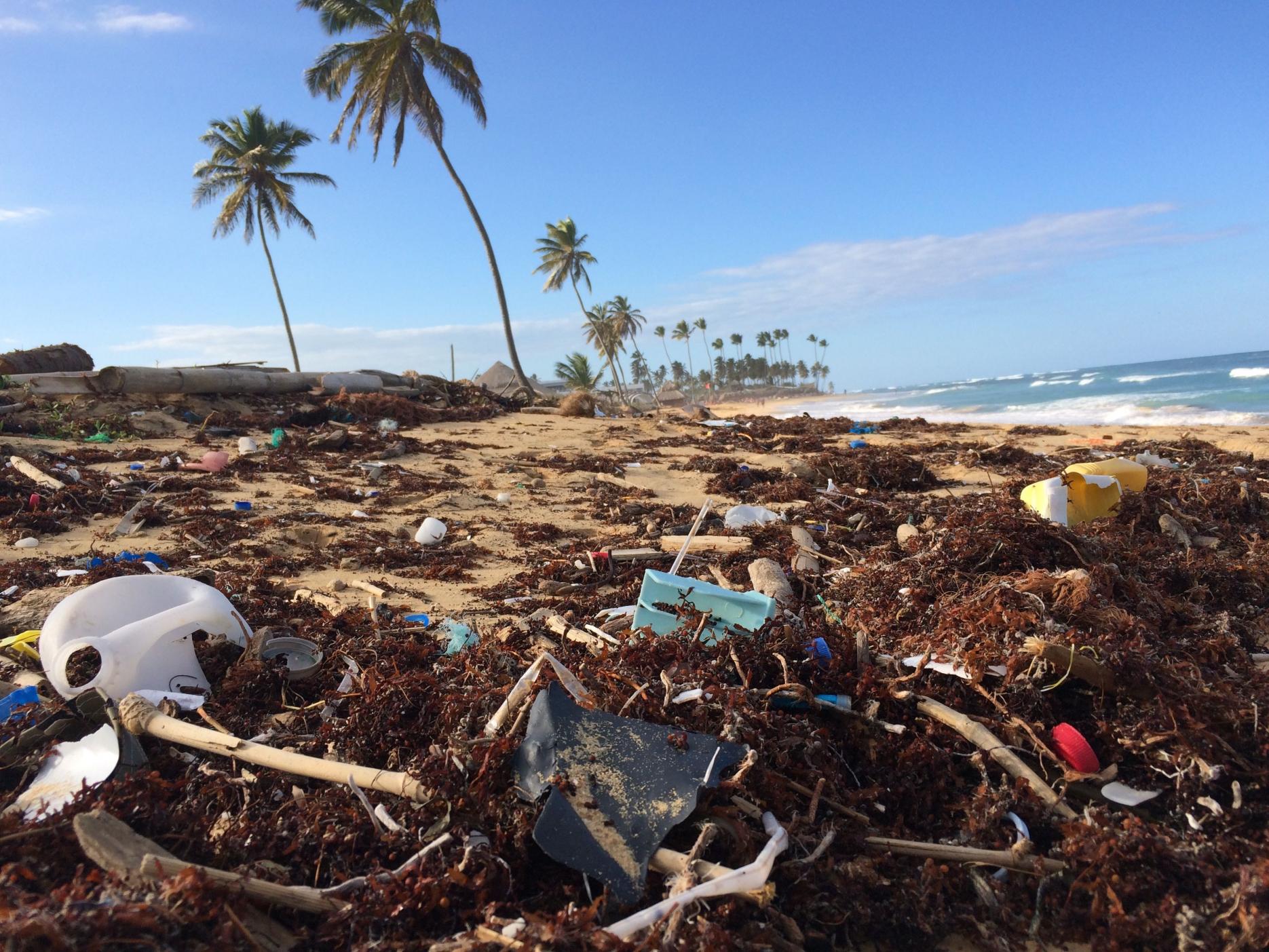 Consumers World oceans Day EauVation plastic